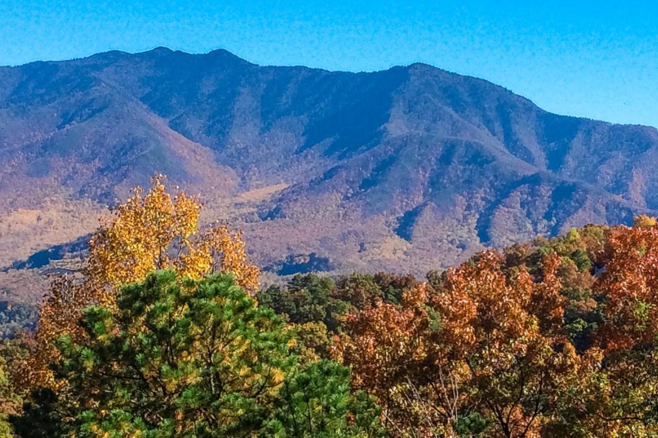 Gatlinburg Summit 1206 Winter Special Daire Dış mekan fotoğraf